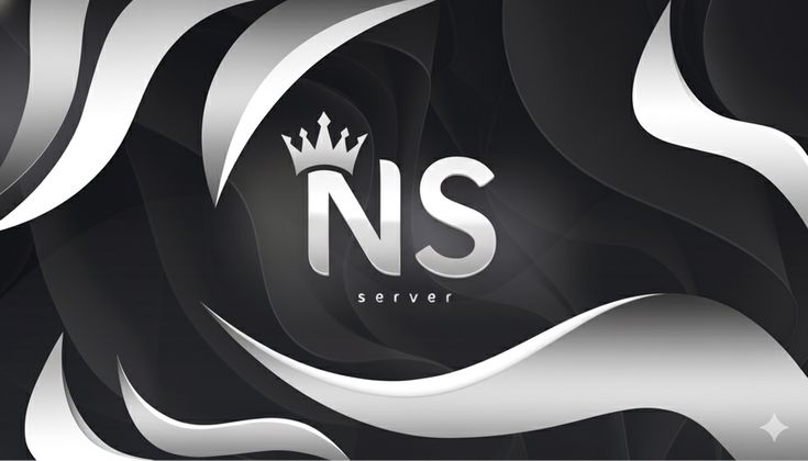 NS Server design by the MD team